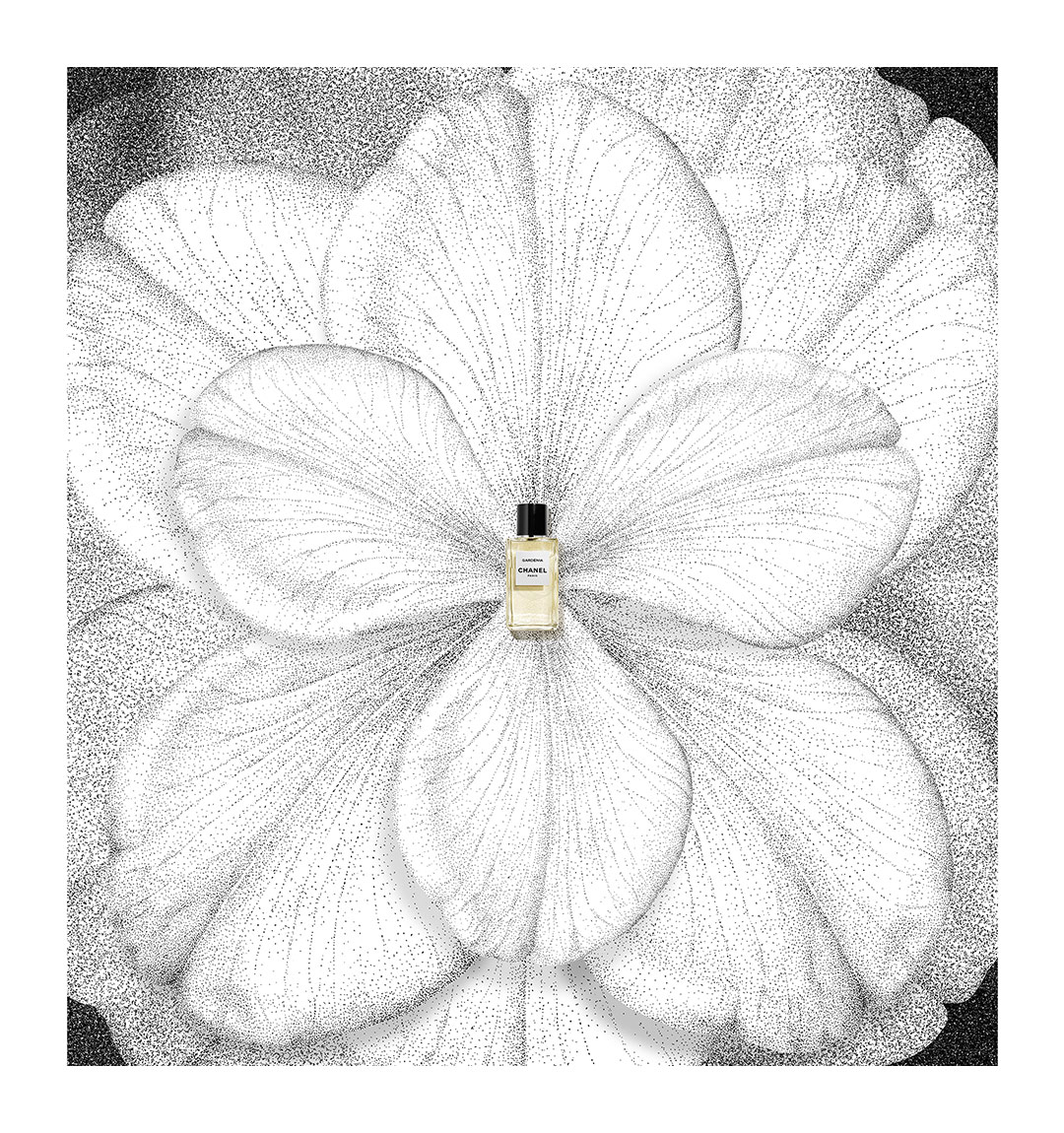 GARDÉNIA LES EXCLUSIFS DE CHANEL – Eau de Parfum (EDP) - 6.8 FL. OZ. |  CHANEL