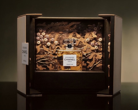 box-offer Chanel fragrance frames pictures for mobile animation purposes
